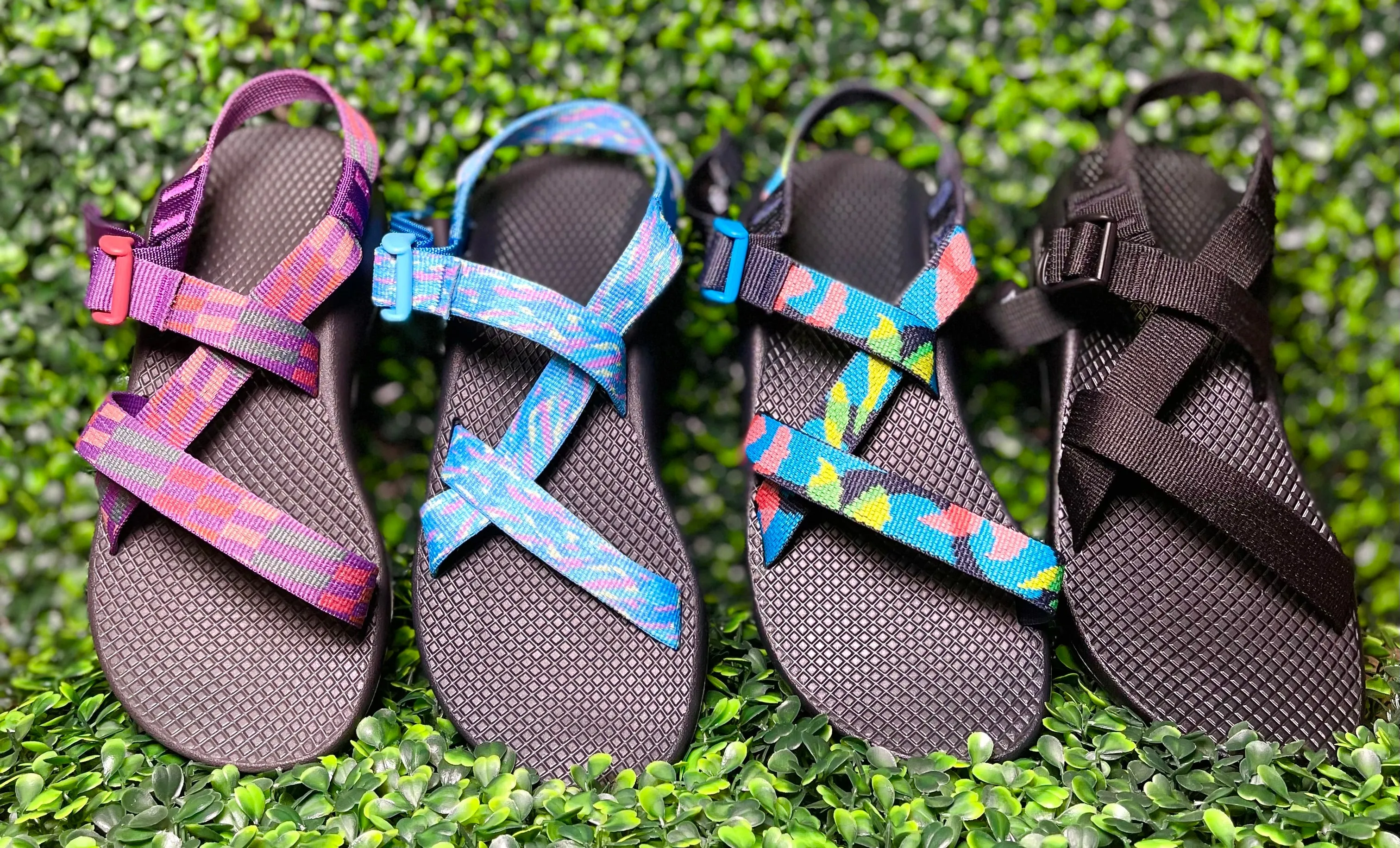 Chaco-Z1 Classic