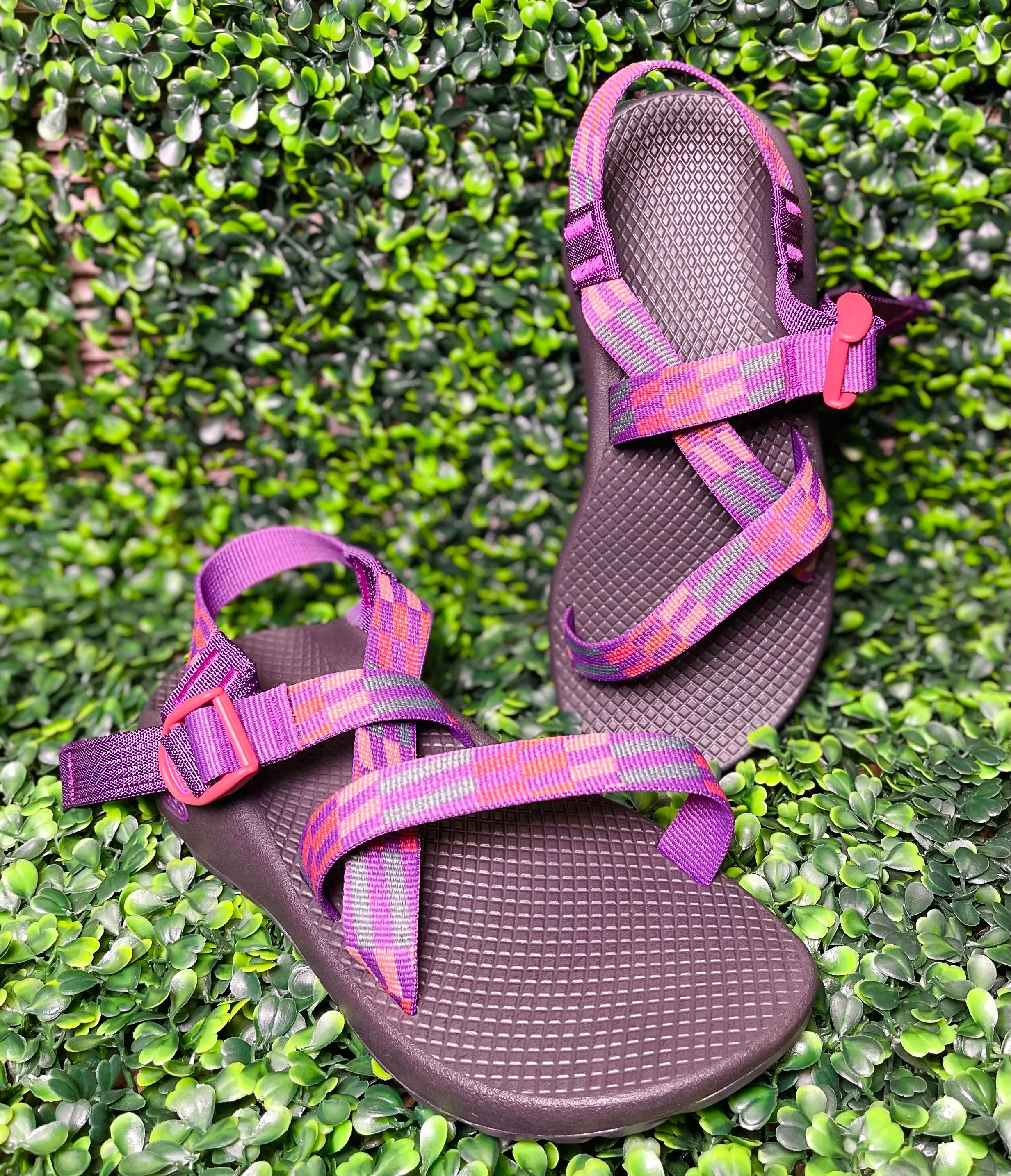 Chaco-Z1 Classic
