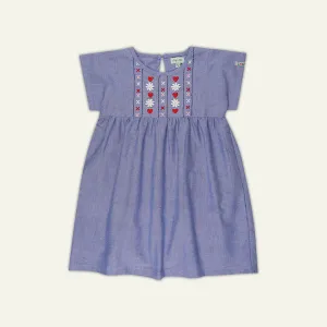 Navy Floral Embroidered Dress