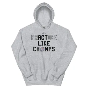Pine Bluffs Senior High School Basketball 2022 Championship Hoodie