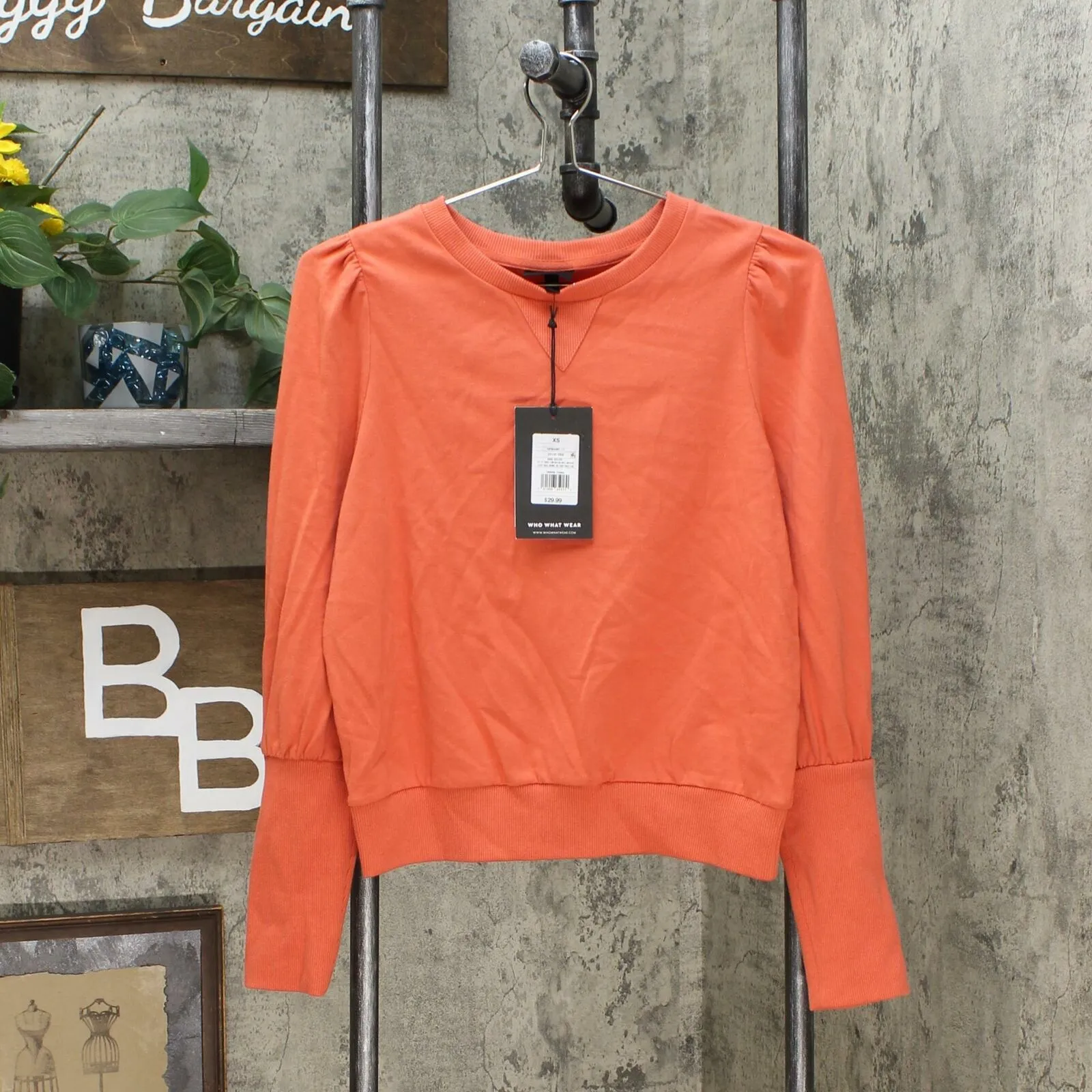 Who What Wear Women's Edwardian Pullover Sweatshirt