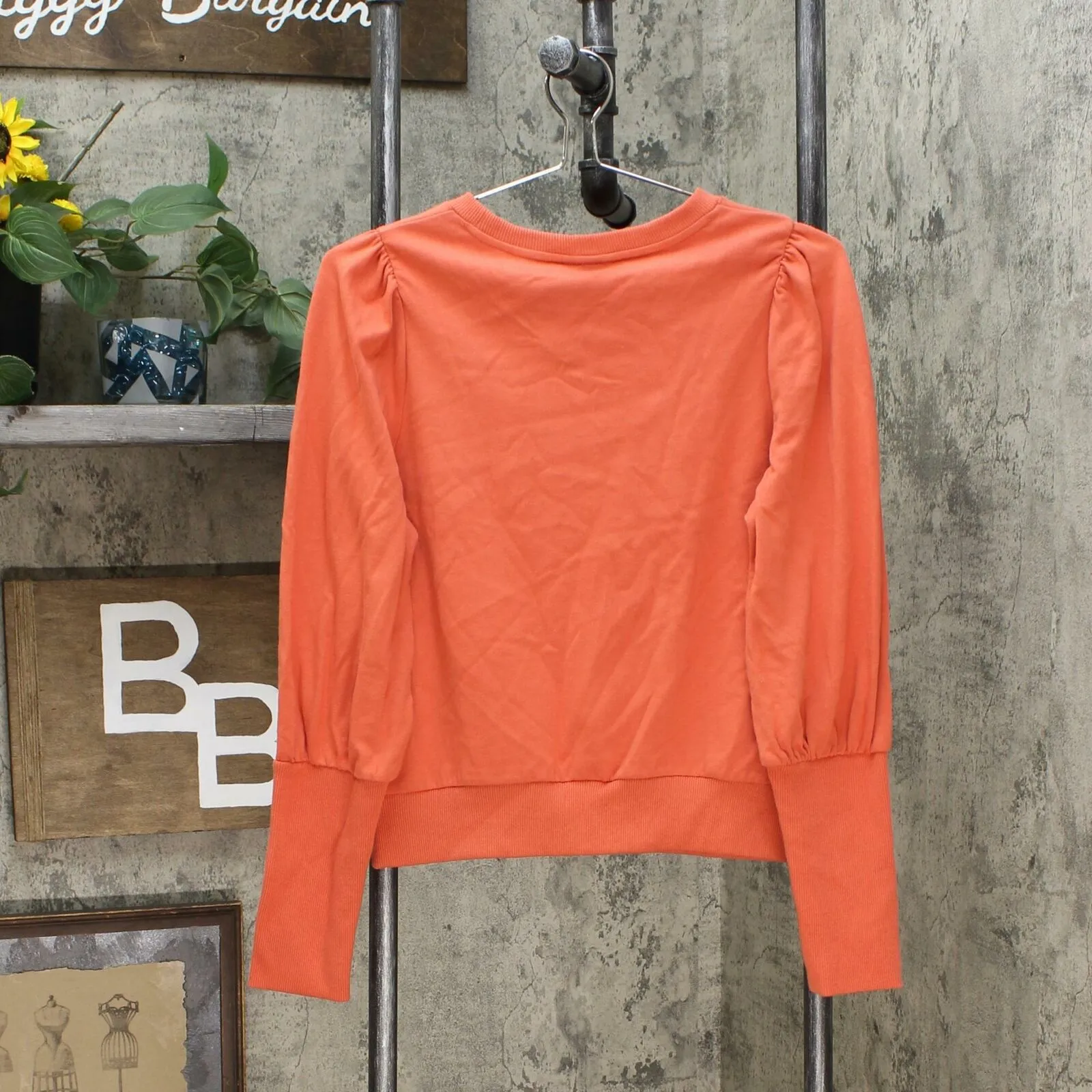 Who What Wear Women's Edwardian Pullover Sweatshirt